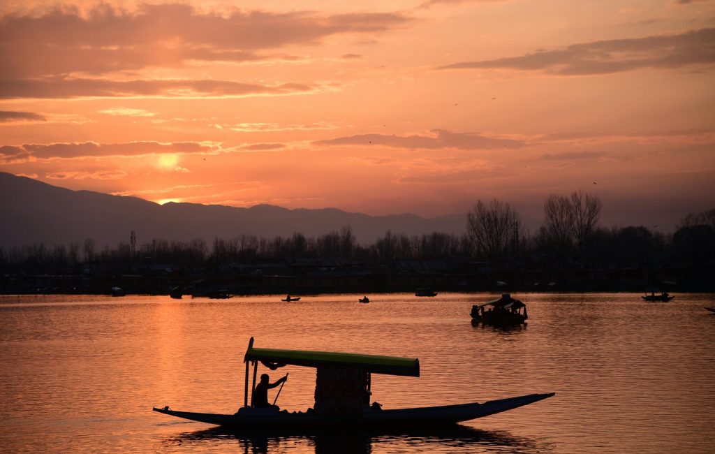 pexels-amjed-wani-1355393378-25786714