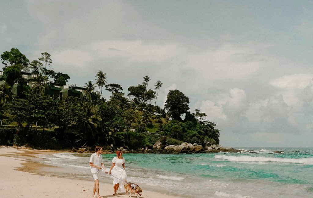 pexels-maksim-romashkin-13657436